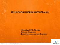 Семинар "Распределенная генерация – ответ рынка  на неэффективное регулирование", 13 ноября 2012 г.